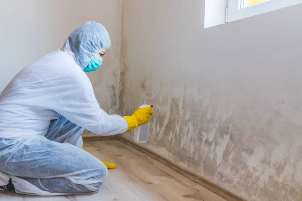 Licensed Commercial Mold Remediation service in White Plains, MD - WQB Mold Removal