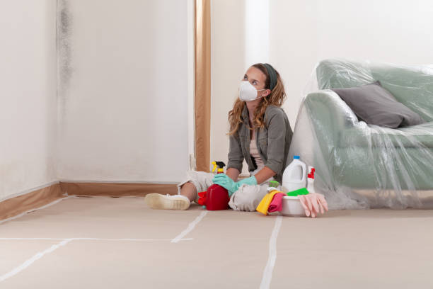 Reliable Commercial Mold Remediation contractor in White Plains, MD by WQB Mold Removal